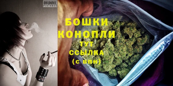 молекула духа Нея
