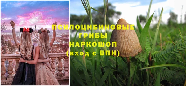 СК Нефтекумск