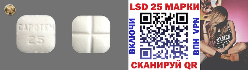 Лсд 25 экстази ecstasy  Купить закладки  Канск 